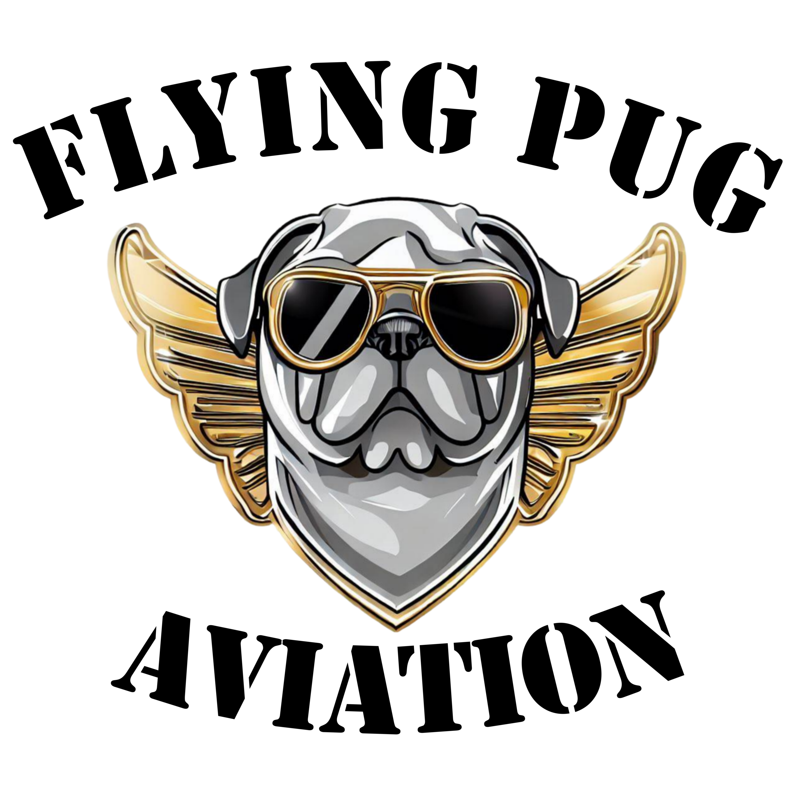 Flying Pug Aviation